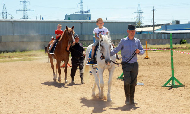 Користь і шкода верхової їзди на конях, відео уроки, екіпірування