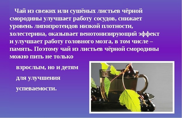 Біла смородина: користь і шкода для здоров'я, властивості, вітаміни