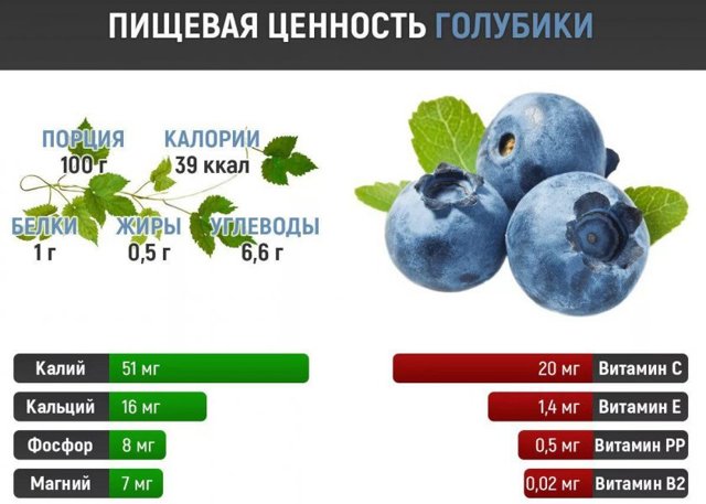 Лохина при вагітності: чим корисна в 1, 2, 3 триместрі, скільки можна з'їдати в день, протипоказання