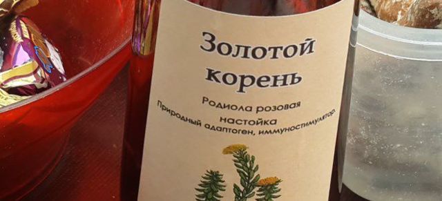 Золотий корінь (Родіола рожева): лікувальні властивості настойки, протипоказання, відгуки