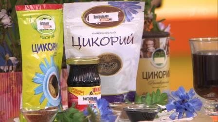 Цикорій - користь і шкода для здоров'я, рецепти