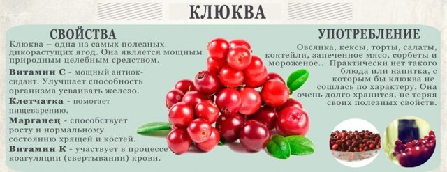 Журавлина: корисні властивості та протипоказання