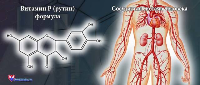 Рутин (вітамін p): для чого потрібен, в яких продуктах міститься, як прнімать