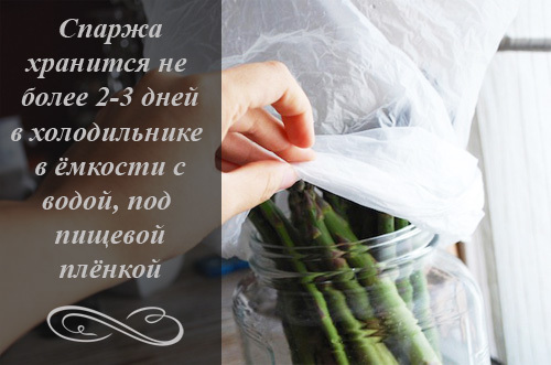 Спаржа: користь і шкода для здоров'я, властивості, калорійність, рецепти з фото