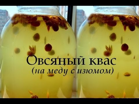 Квас з вівса: користь і шкода, рецепти приготування в домашніх умовах