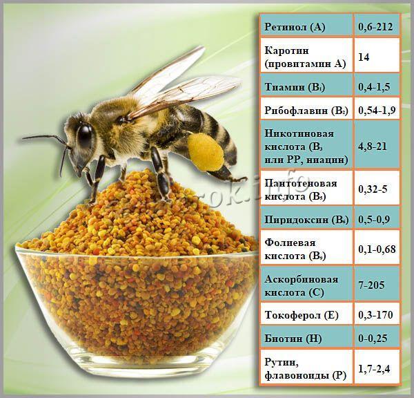 Квіткова (бджолине) пилок: користь і шкода, застосування, відгуки