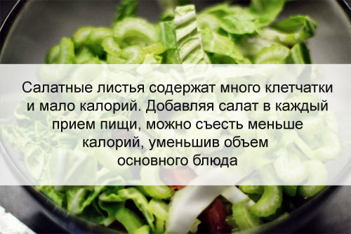 Листя салату: користь і шкода для здоров'я, калорійність, заготівля