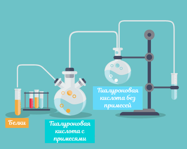 Біоревіталізація гіалуроновою кислотою: яка краще, як часто можна робити, відгуки