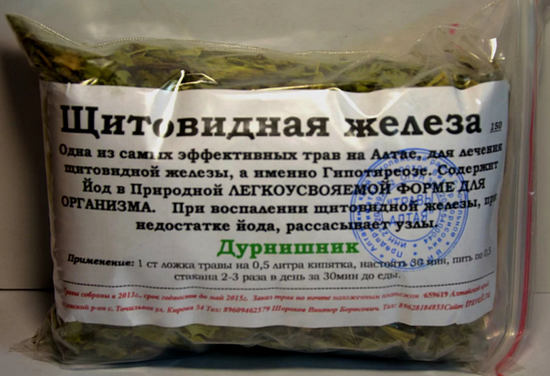 Нетреба звичайна: лікувальні властивості, як виглядає, де росте, застосування, фото