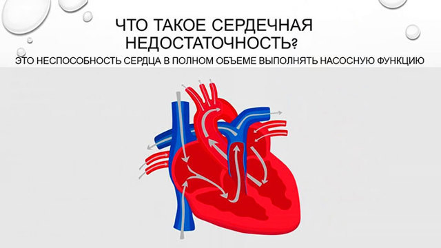 Календула: користь і шкода, лікувальні властивості, застосування, відгуки