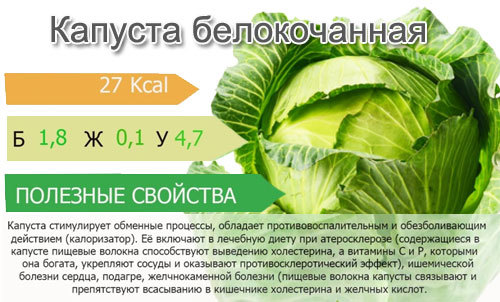 Білокачанна капуста: користь і шкода, калорійність, зберігання, як приготувати