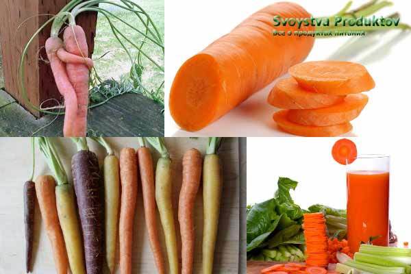 Роля моркви у харчуванні та її коригуючі властивості