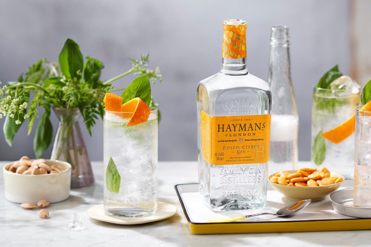 Джин Haymans Exotic Citrus Gin