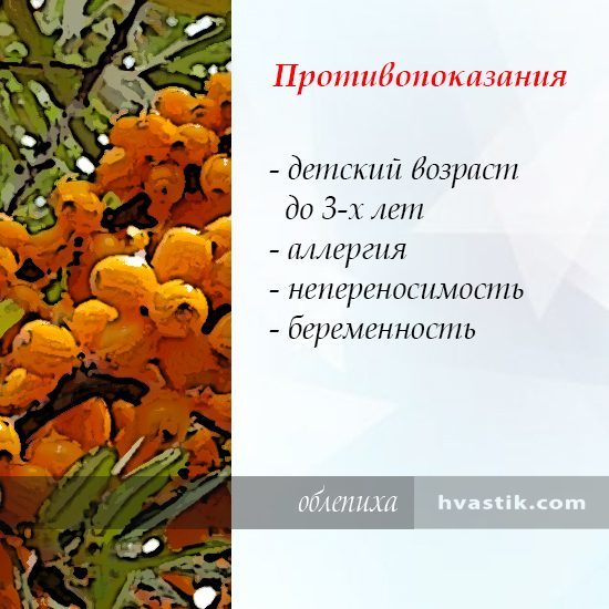 Обліпиха: корисні властивості та протипоказання, застосування, відгуки