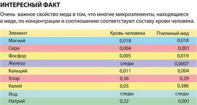 Гречаний мед: корисні властивості та протипоказання, фото