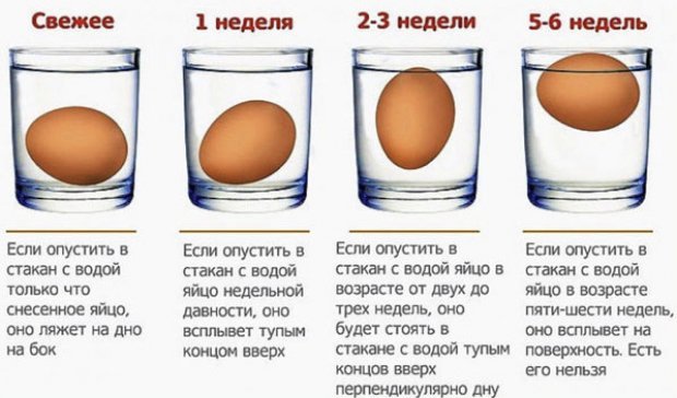 Качині яйця: користь і шкода, як готувати