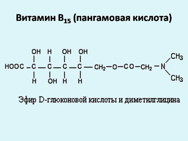 Вітамін В15 (пангамовая кислота): для чого потрібен організму, застосування