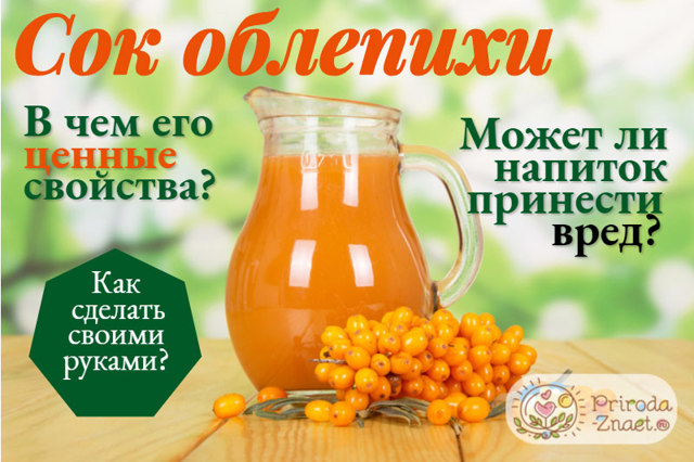 Обліпиховий сік: користь і шкода, рецепт приготування в домашніх умовах