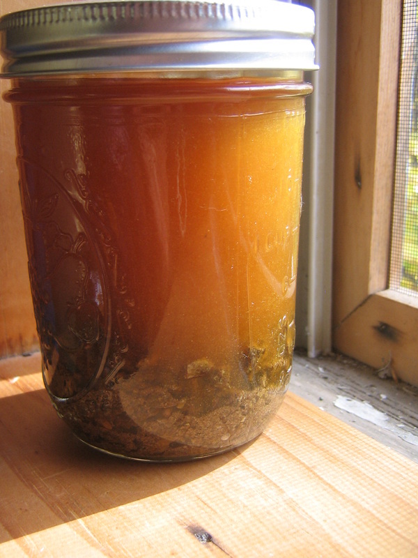 Трепанг на меду: корисні властивості, для чого потрібен, протипоказання, відгуки лікарів і покупців