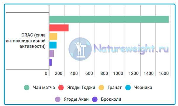 Чай матчу: користь і шкода, відгуки, як заварювати