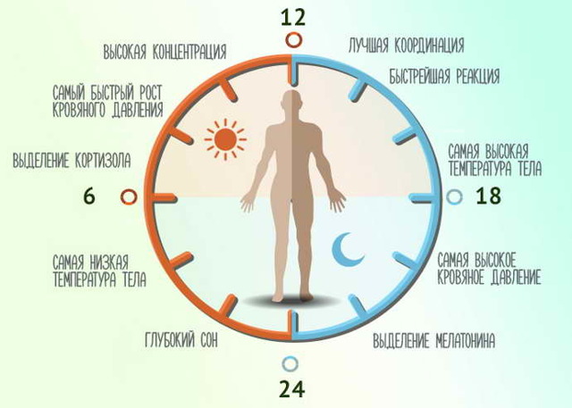 Мелатонін: користь і шкода, інструкція із застосування, відгуки лікарів, аналоги