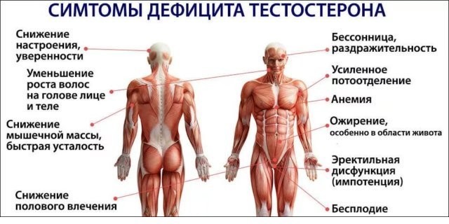 Вітаміни для підвищення тестостерону у чоловіків: які потрібні, як приймати, протипоказання