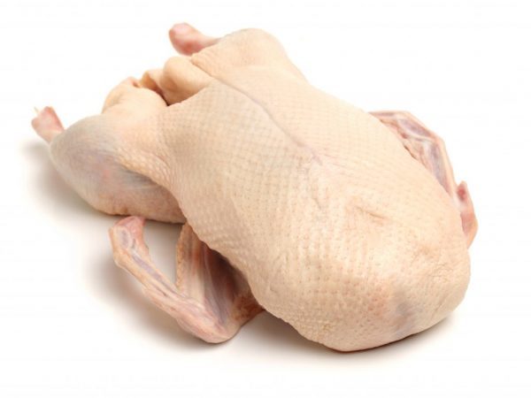 М'ясо качки: користь і шкода для організму, калорійність, склад