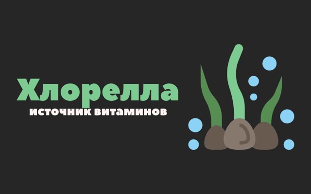 Хлорела: корисні властивості та застосування, хімічний склад, протипоказання