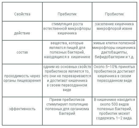 Цикорій - користь і шкода для здоров'я, рецепти