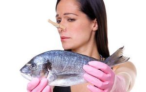 Як позбутися від запаху риби: з посуду, приміщення, одягу, дивана, рук