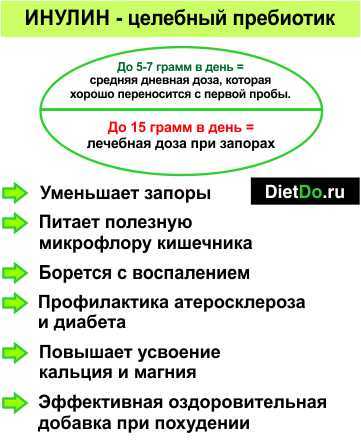 Інулін: користь і шкода, застосування, що це таке, де міститься