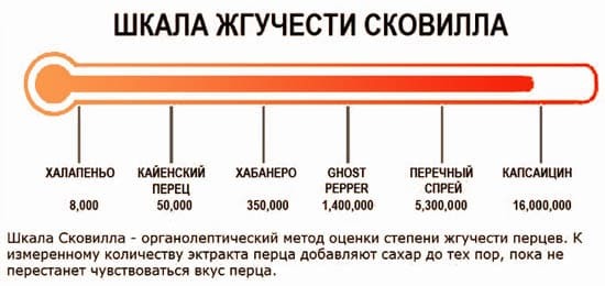 Користь і шкода гострої їжі, чи можна вагітним і дітям