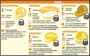 Диня: користь і шкода для здоров'я, калорійність