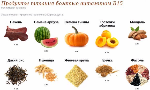 Вітамін В15 (пангамовая кислота): для чого потрібен організму, застосування