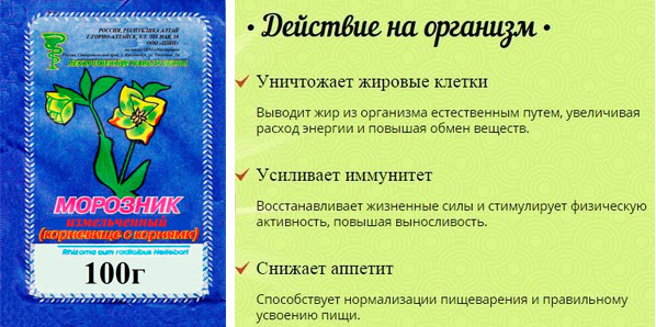 Кавказький морозник для схуднення: відгуки тих, що худнуть і лікарів, дозування, протипоказання