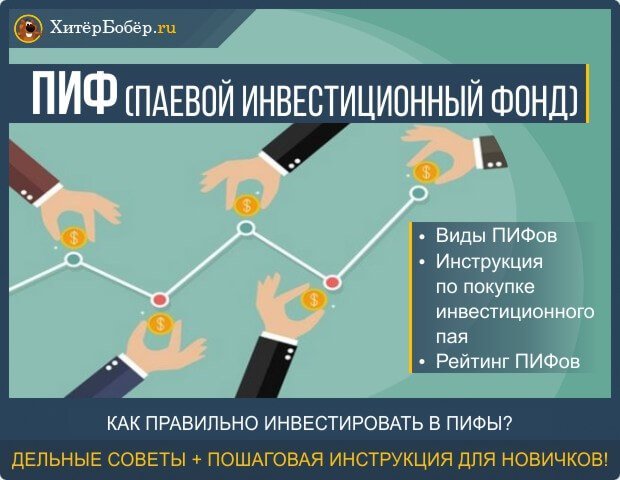 Маточне молочко: корисні і лікувальні властивості, як приймати, відгуки