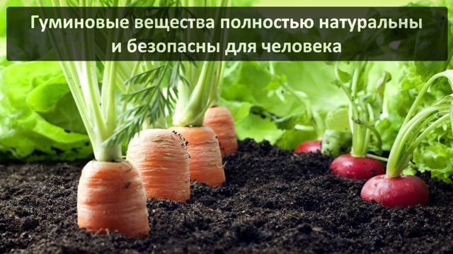 Гумінові кислоти: користь і шкода для людини, склад, отримання