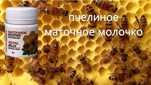 Маточне молочко: корисні і лікувальні властивості, як приймати, відгуки