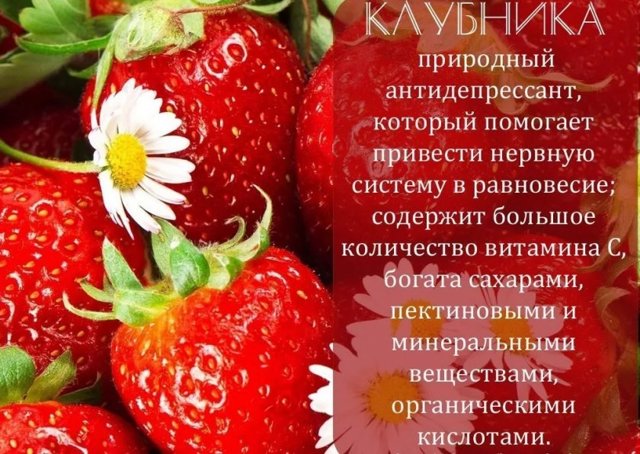 Користь і шкода полуниці для здоров'я, калорійність