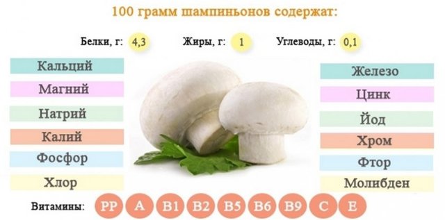 Користь і шкода грибів для організму людини, калорійність