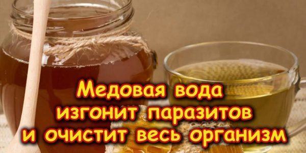 Вода з медом натщесерце: користь і шкода, як пити, відгуки