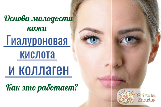 Колаген і гіалуронова кислота: в чому різниця, що краще вибрати