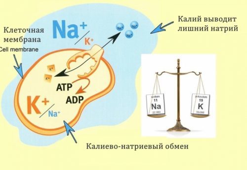 Бурий (коричневий) рис: користь і шкода, калорійність, як приготувати, відгуки