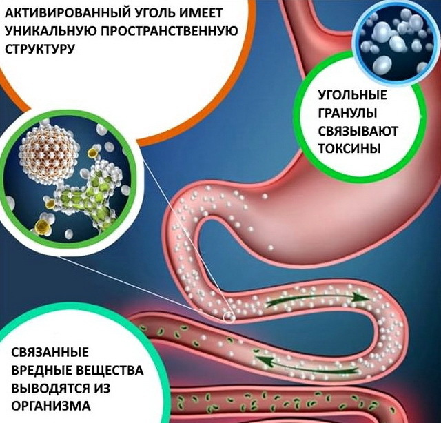 Користь і шкода активованого вугілля для організму, застосування, відгуки