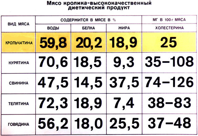 М'ясо кролика: користь і шкода, калорійність, склад, як приготувати