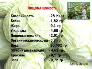 Білокачанна капуста: користь і шкода, калорійність, зберігання, як приготувати