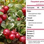 Брусниця: лікувальні та корисні властивості, протипоказання