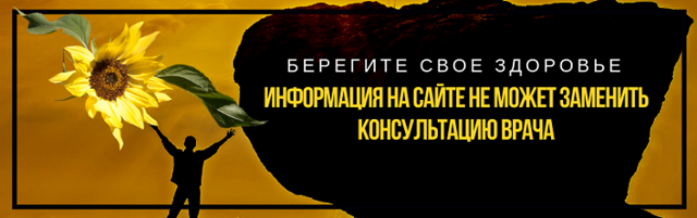 Актинідія: користь і шкода для організму людини, які плоди на смак, склад