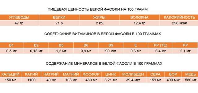 Біла квасоля: користь і шкода, калорійність, як приготувати, відгуки