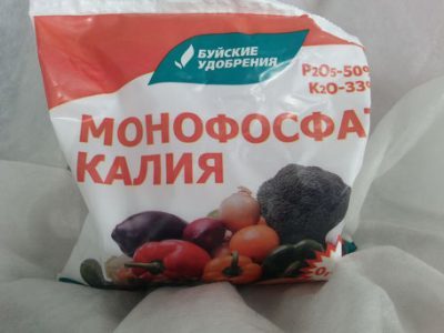 Харчова добавка Е339: що за добавка, небезпечна чи ні, вплив на організм, куди додають